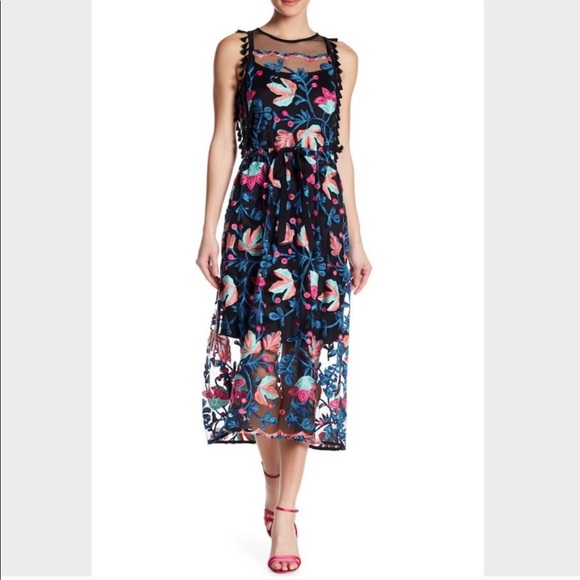 Eva Franco ‘Stevie’ Tasseled & Embroidered Sleeveless Midi Dress 🥳 - Picture 7 of 8